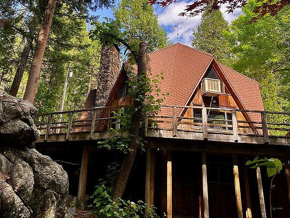 View from the forest