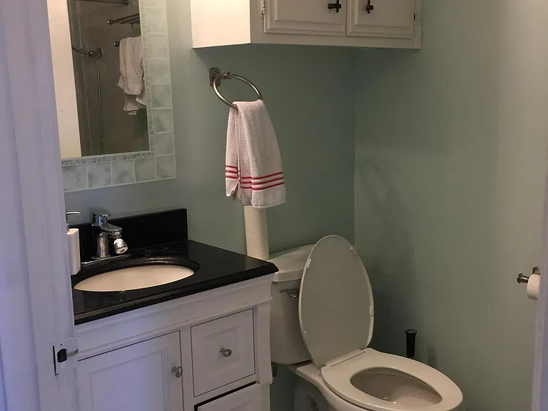 303 E 9th St #303 — Photo 14