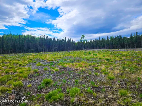 LOT-11D Bangerter Cir, Sterling, AK 99672