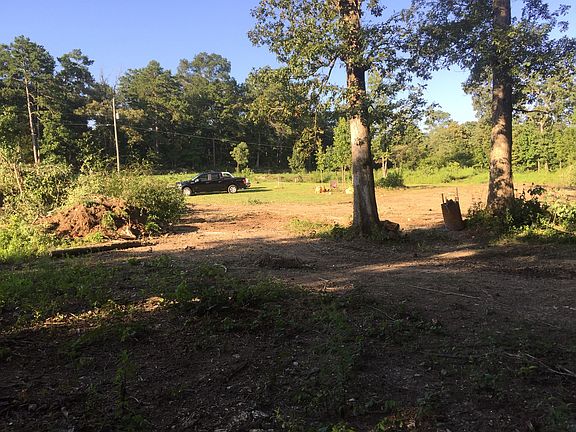 Hiding in the cool shade