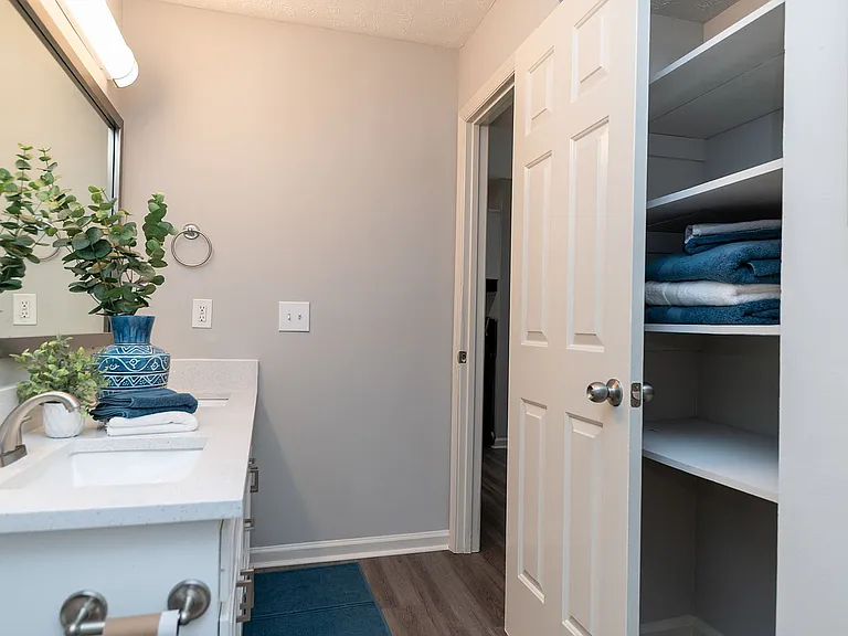 Bathroom with quartz counters & linen closet with built-in shelving