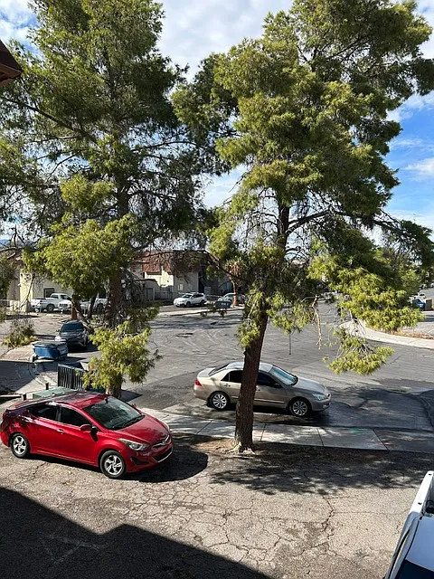 5393 Del Gado Dr #3