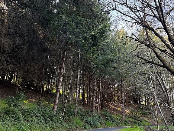 4th image of 767 Spring Rd Lot 33