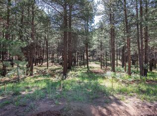 589 Trout Springs Rd, Forest Lakes, AZ 85931