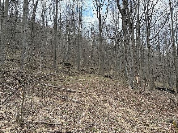 4th image of 0 Philson Rd