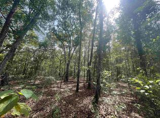 338 W Rushing Rd, Register, GA 30452