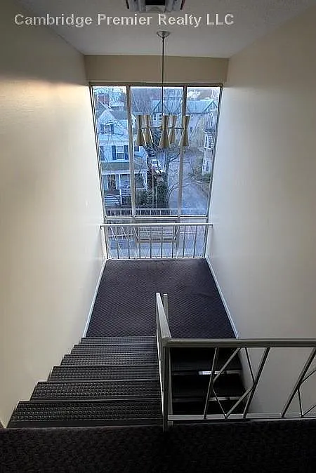 Harvard St, Cambridge — Photo 3