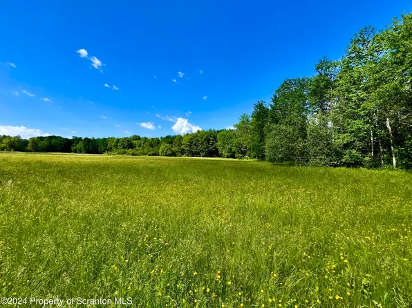 9755 State Route 171, Union Dale, PA 18470