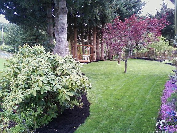 front lawn