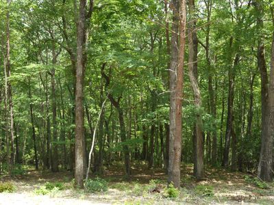 3114 Oakey Mountain Rd Lot 61, Clarkesville, GA, 30523