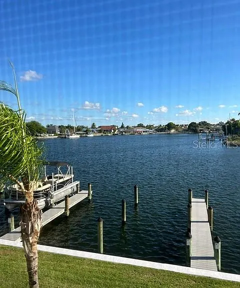1008 Apollo Beach Blvd #210 — Photo 23