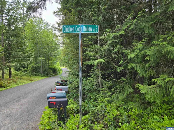 0 Chicken Coop Hollow Rd, Sequim, WA 98382