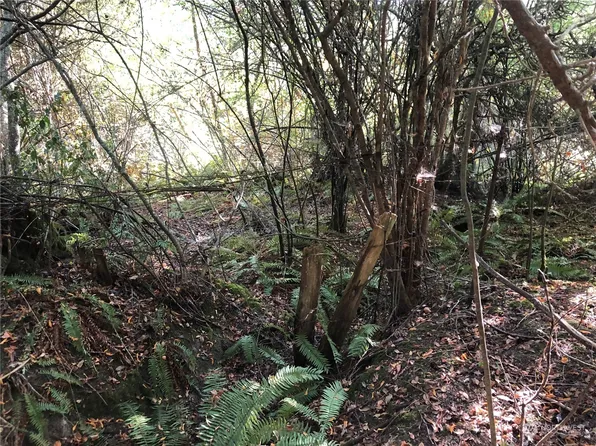 0 XXX N Jacob Miller Road, Port Townsend, WA 98368