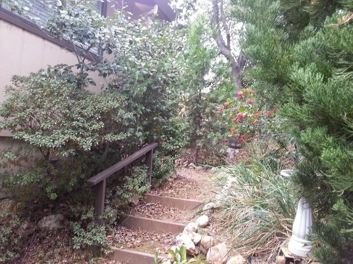 3 bed, 1500 sqft, $2,750 — Photo 2