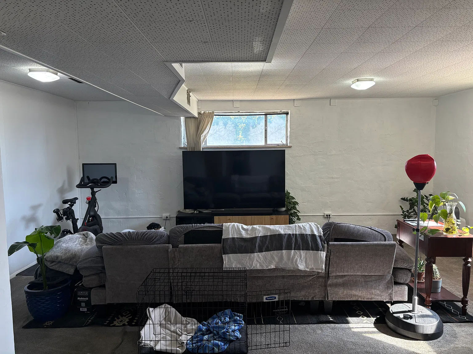 1 bed, 850 sqft, $1,190 — Photo 2