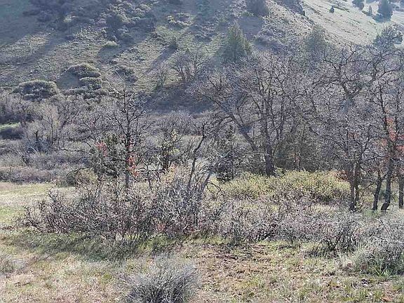 5th image of 12320 Ager Rd