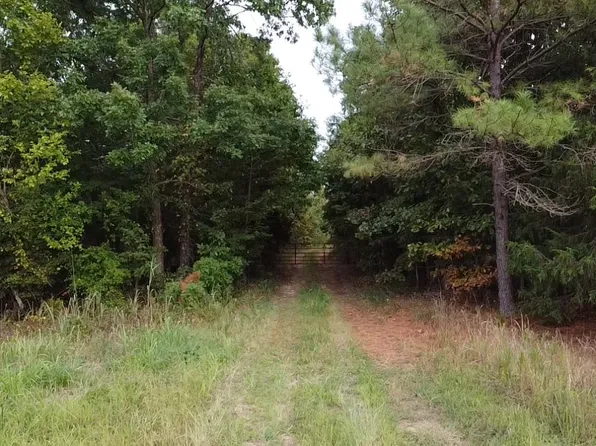 0 Rue Hammer Rd, Cedar Grove, TN 38321