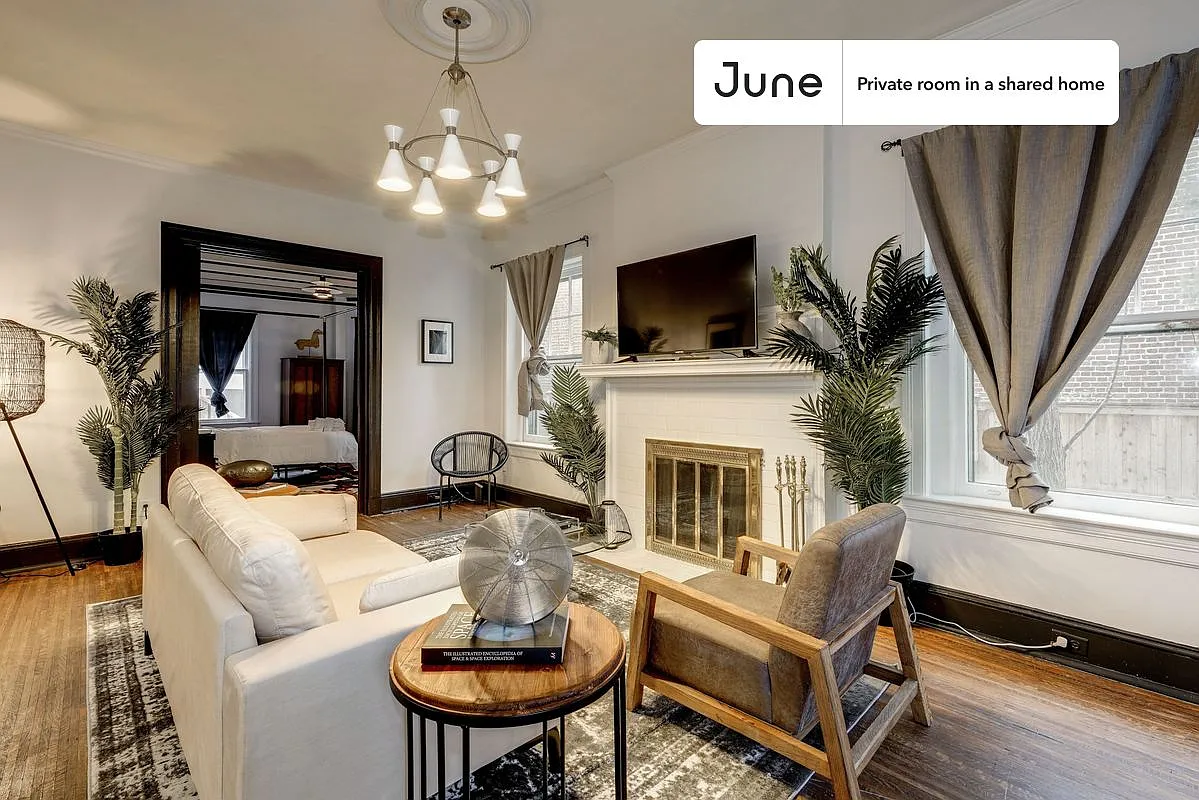 Full bedroom in 7 bed/3.5 bath home in Woodley Park #115 3B — Photo 4