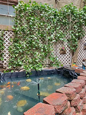 Rented by Waverly Realty Associates | media 9