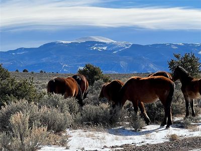 80 Acres Elk Lane, San Luis, CO, 81152