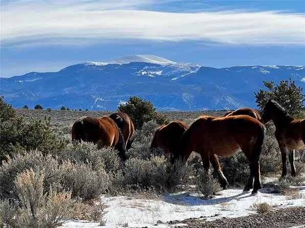 80 acres Elk Lane, San Luis, CO 81152