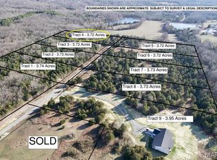 20302 Blessings Ln, Farmington, MO 63640