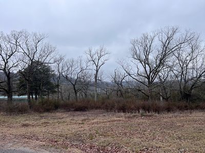 Leatherwood Ln #1, Eureka Springs, AR, 72631