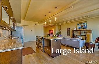4th image of 915 Olive St APT 1505