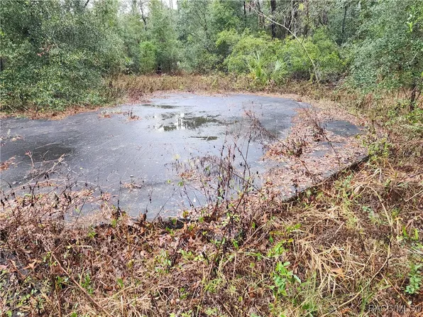 7510 W Dunnellon Rd, Dunnellon, FL 34433