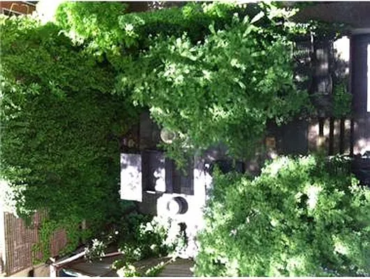 Rented by Douglas Elliman | media 8