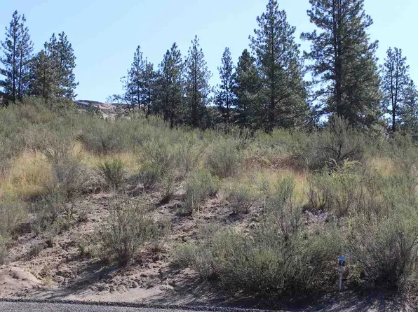 25776 Pine Cone Ct E, Lincoln, WA 99147