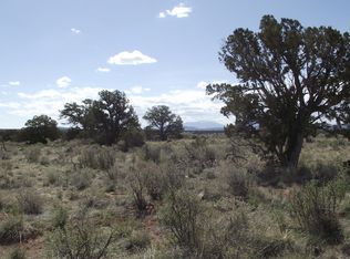 221 S Silver Oaks Dr, Williams, AZ 86046