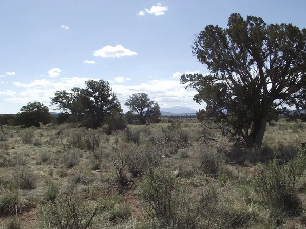 221 S Silver Oaks Dr, Williams, AZ 86046