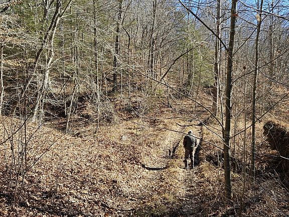 5th image of 0 Buck Fork Rd