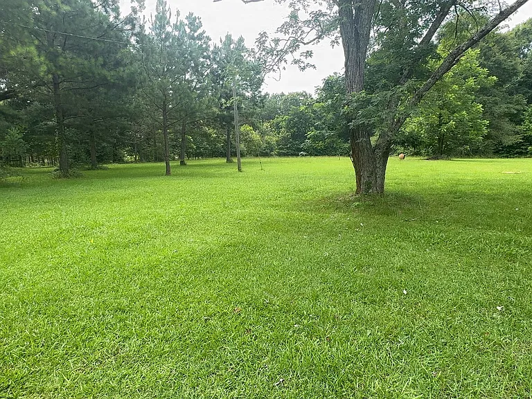 206 Webb Rd — Photo 2
