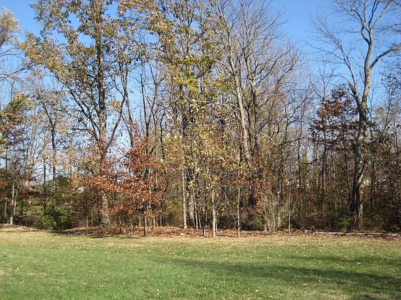 Rear Property Line with Creek