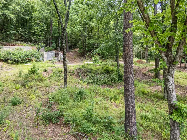1656 Walnut Valley Rd, Dover, AR 72837
