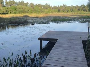 23610 NE 154th Place Rd, Salt Springs, FL 32134