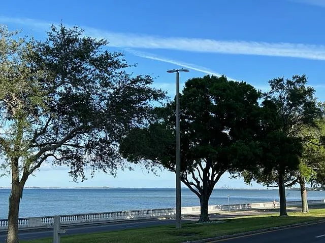 4015 Bayshore Blvd #8D — Photo 6