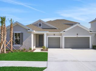 17527 Valleywood Parkway Land, O'Lakes, FL 34638