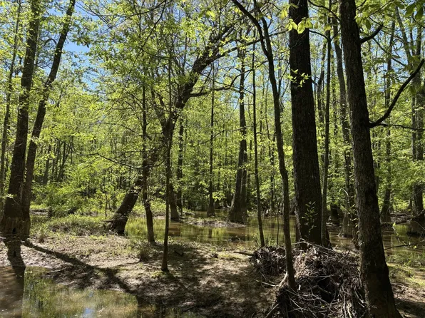 9000 County Road 12, Millport, AL 35576