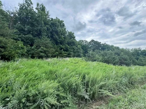 0 E Walnut St, New London, MO 63459