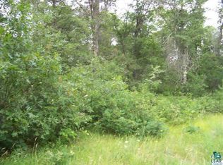 0 E Bass Lake Rd, Gordon, WI 54838