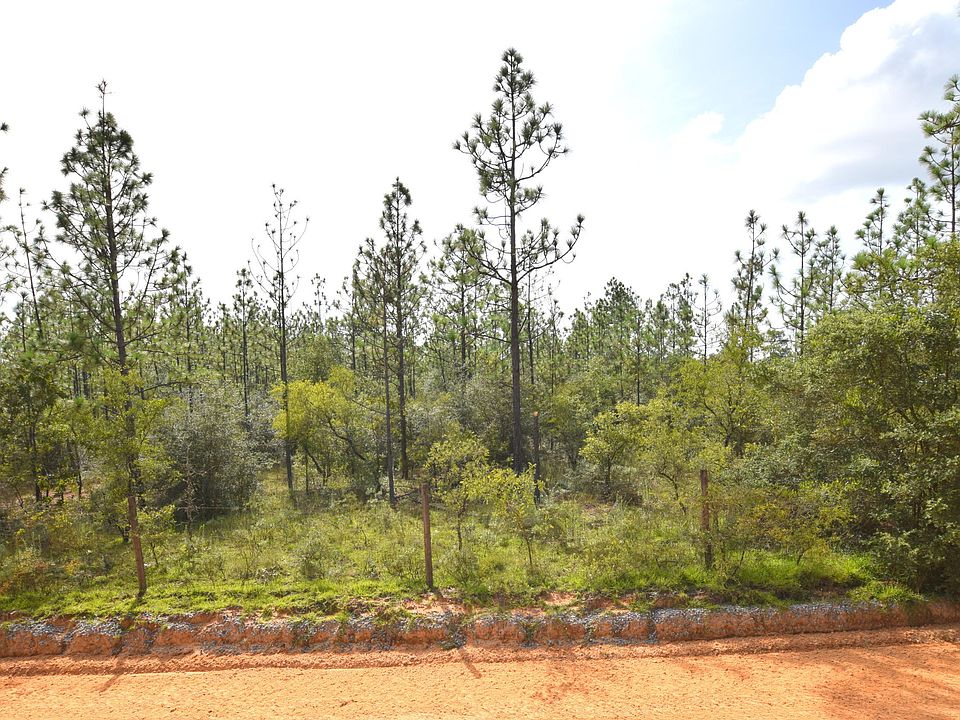 2nd image of Pine Log Rd