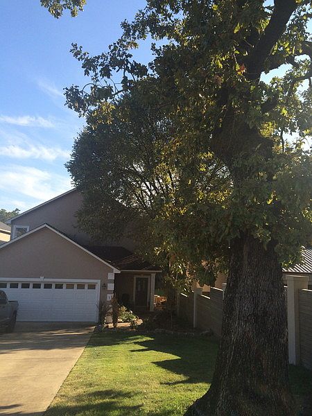 1st image of 788 Buena Vista Rd