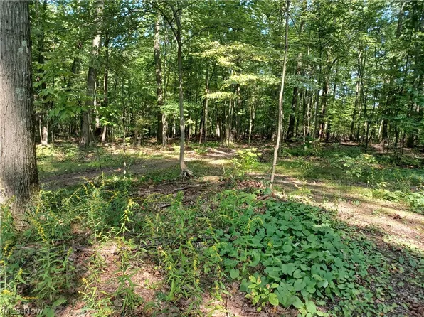695 S Hubbard Rd, Lowellville, OH 44436