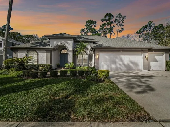 10524 Greencrest Dr, Tampa, FL 33626