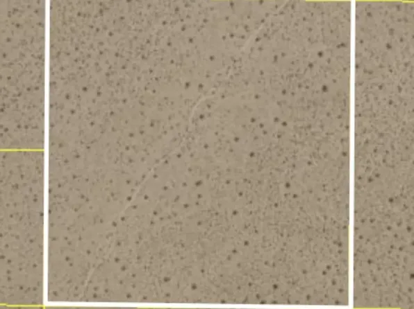 0 Near Fossil Rd, Hinkley, CA 92347