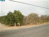 2nd image of Avenue 200
