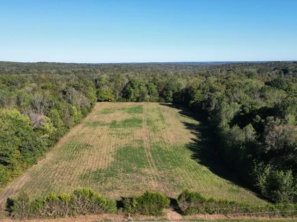 10 Hayes Ridge Rd, Indian Mound, TN 37079